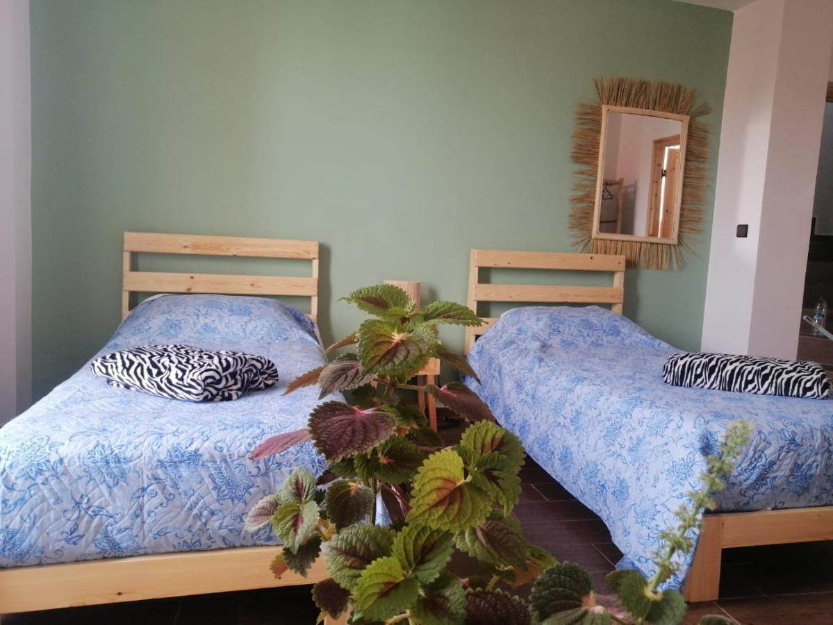 Dar Mouja, Eco-Friendly Home Imsouane Eksteriør billede